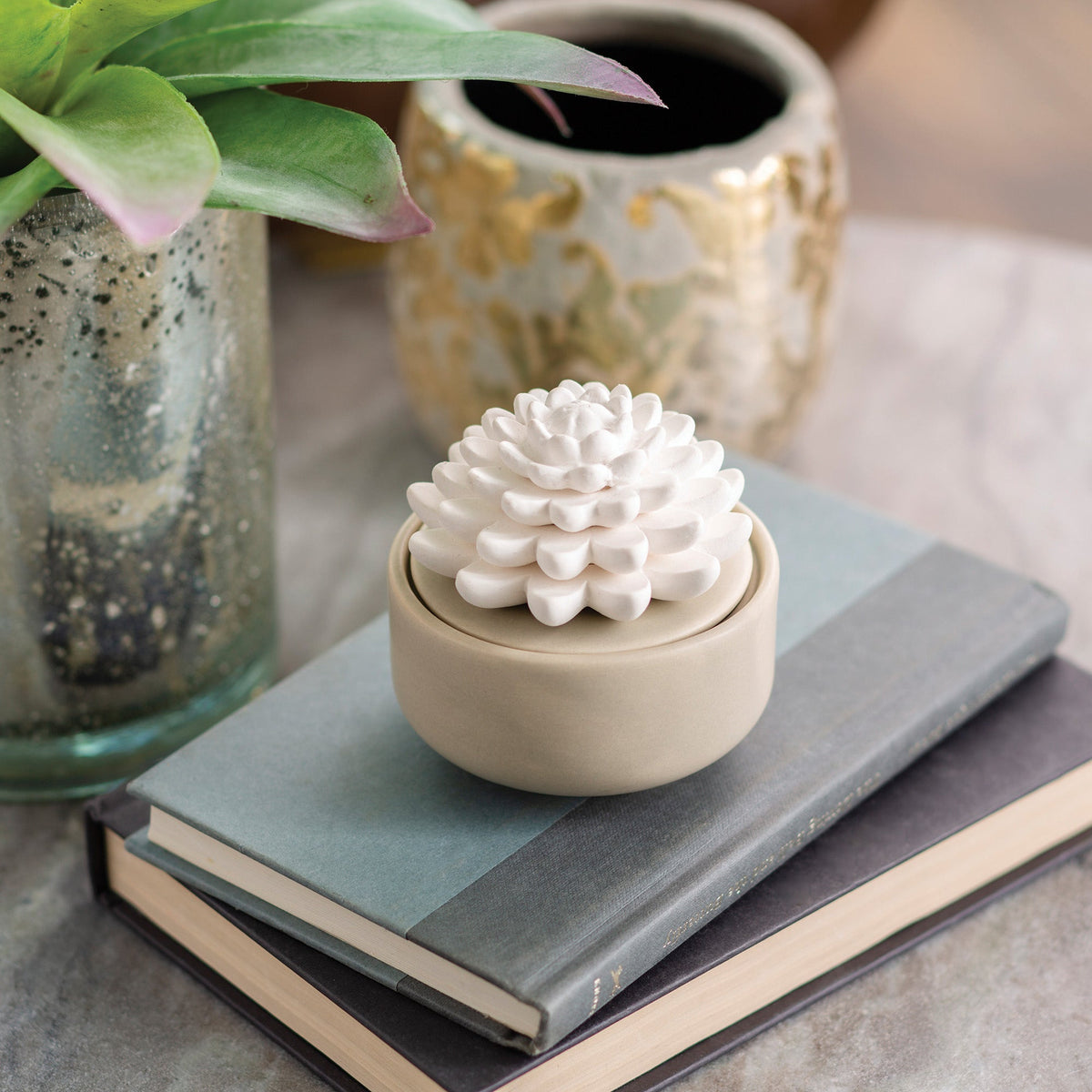 Succulent Porcelain Passive Diffuser - RRP $29.95 - Wholesale