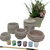 Mixed, hand-made succulent planters x 5