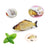 Cat Toys,Interactive Kitten Toy for Indoor Kitty Exercise 14 Piece with Fish Catnip Spiral Spring, Tube, Crinkle Balls Helps Reduce Stress & Provide Anxiety Relief for Cats
