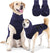 Dog Anxiety Vest and Coat, Vet Visits and Separation - Keep Pet Calm, Dog Jacket for Thunder, Fireworks, Anti Anxiety Vest for Dogs and Cat Body and Ear, Dark Blue, M