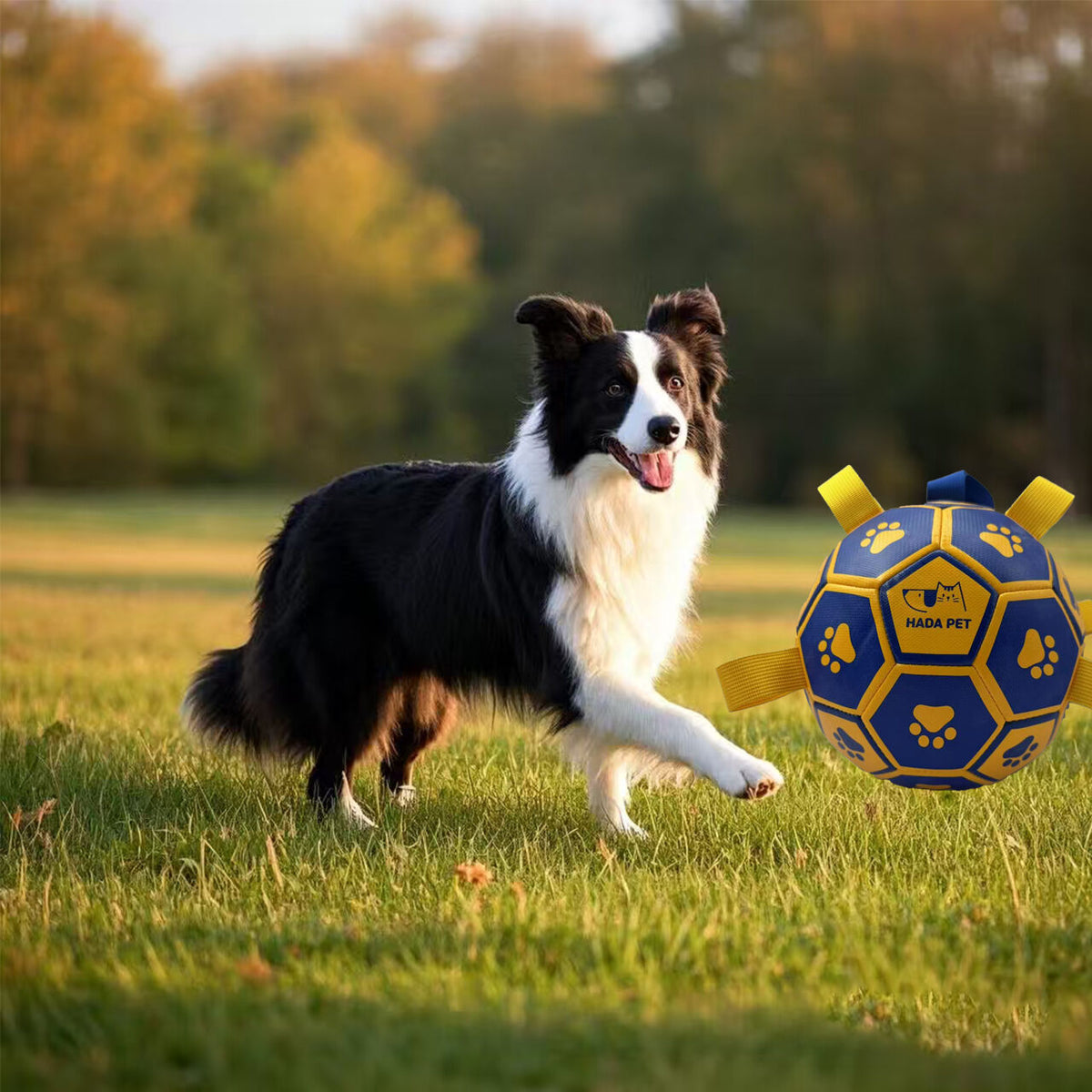 Dog toy with rope Little Yellow Duck plush interactive tennis, suitable for tug-of-war, birthday gift for small dogs, draggable and durable water ball, special for small and medium-sized dogs, made of high quality PU material, which can be kicked and play