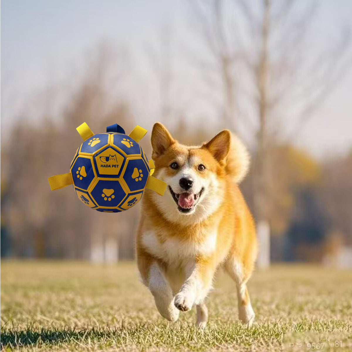 Dog toy with rope Little Yellow Duck plush interactive tennis, suitable for tug-of-war, birthday gift for small dogs, draggable and durable water ball, special for small and medium-sized dogs, made of high quality PU material, which can be kicked and play