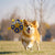 Dog toy with rope Little Yellow Duck plush interactive tennis, suitable for tug-of-war, birthday gift for small dogs, draggable and durable water ball, special for small and medium-sized dogs, made of high quality PU material, which can be kicked and play