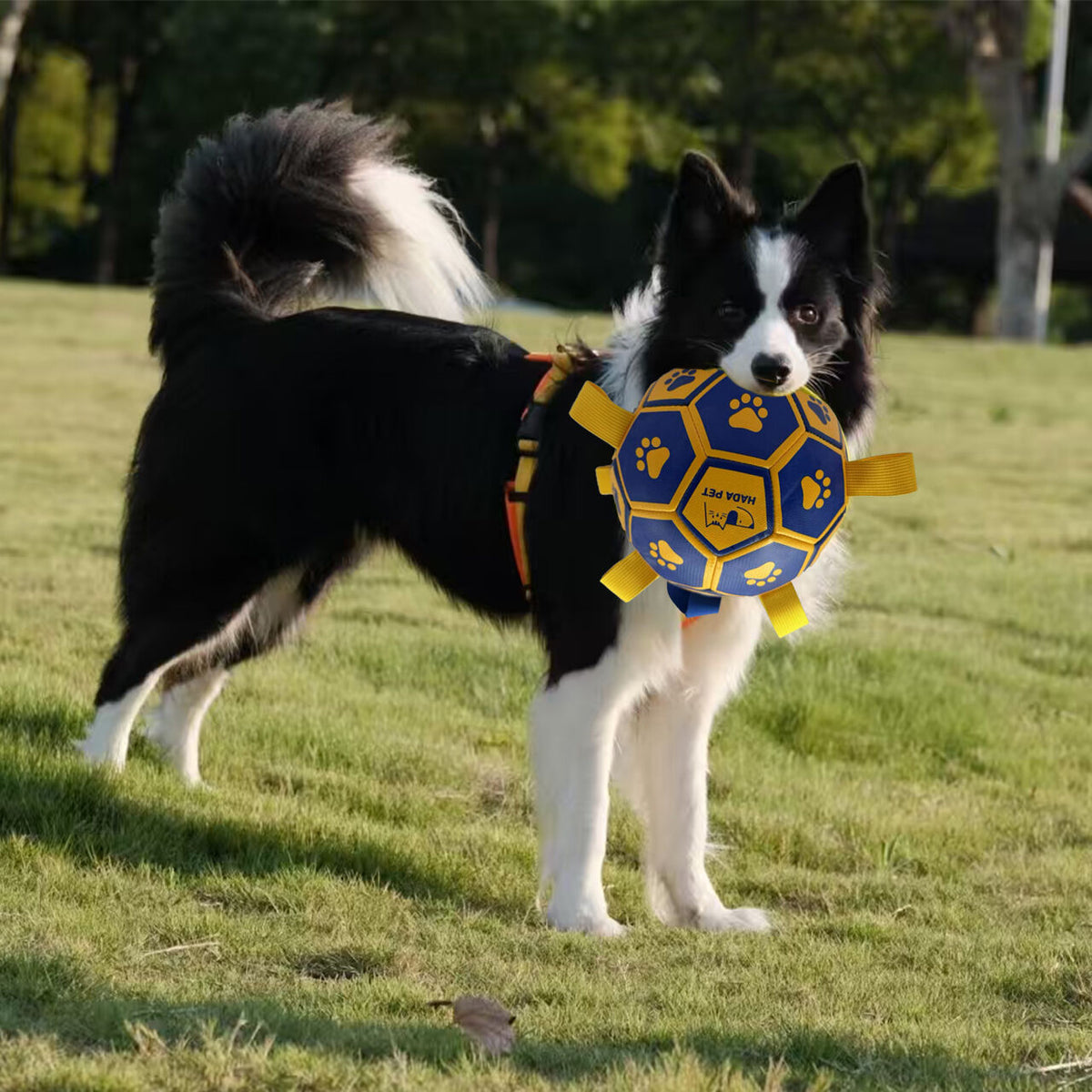 Dog toy with rope Little Yellow Duck plush interactive tennis, suitable for tug-of-war, birthday gift for small dogs, draggable and durable water ball, special for small and medium-sized dogs, made of high quality PU material, which can be kicked and play