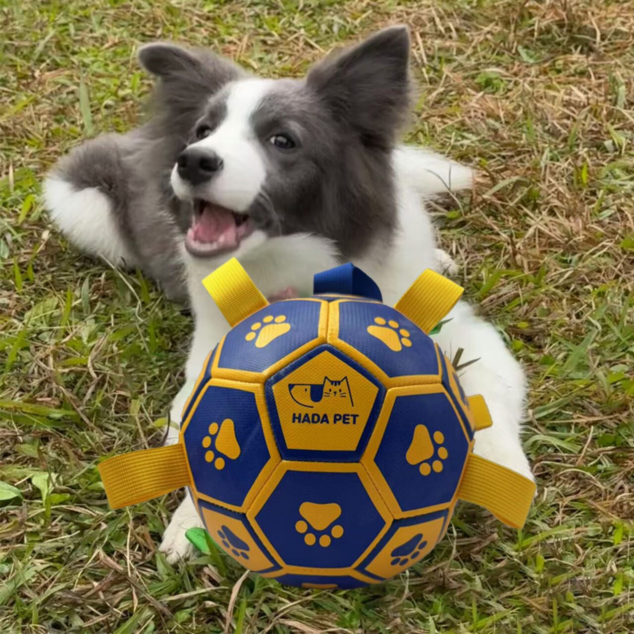Dog toy with rope Little Yellow Duck plush interactive tennis, suitable for tug-of-war, birthday gift for small dogs, draggable and durable water ball, special for small and medium-sized dogs, made of high quality PU material, which can be kicked and play