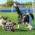 Interactive dog soccer with air pump-heavy rubber tug-of-war toy, with paw print design, non-toxic blue orange ball, suitable for large/medium dogs, strong chewers, catching and training-suitable for all breeds and sizes, durable and safe, ideal for puppi