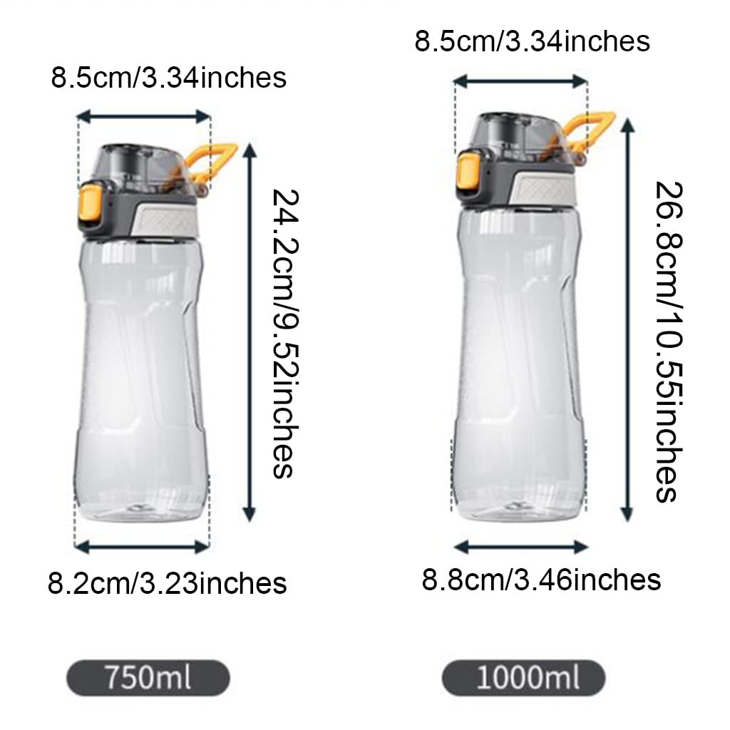Portable Sport Water Bottle with Handle – Large Capacity Fitness Water Bottle for Gym, Hiking, Cycling, Outdoor Use – BPA-Free & Leak-Proof (Gray,750ml)