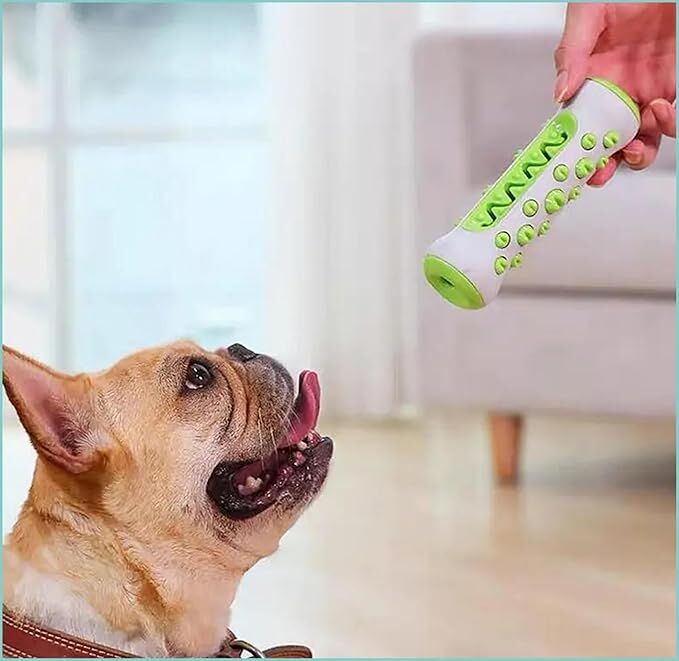 Dog Chew Toy: Durable Nylon & TPR, Teeth Cleaning Bone for Aussie Dogs