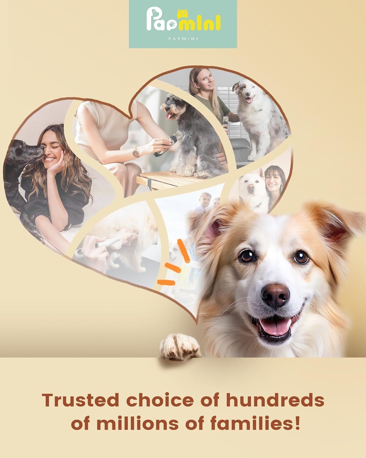 Professional Rechargeable Cordless Dogs Cats Horse Grooming Clippers - Professional Pet Hair Clippers with Comb Guides for Dogs Cats Horses and Other House Animals Pet Grooming Kit