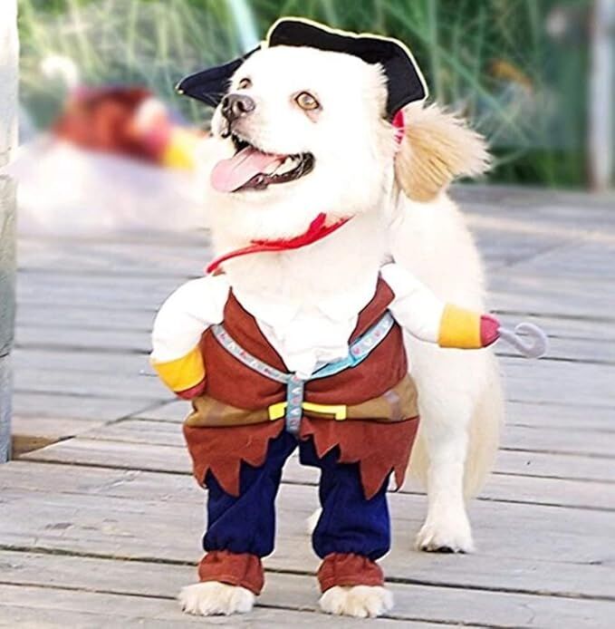 Pet products  New Funny Pet Clothes Pirate Dog Cat Costume Suit Corsair Dressing up Party Apparel Clothing for Cat Dog Plus Hat