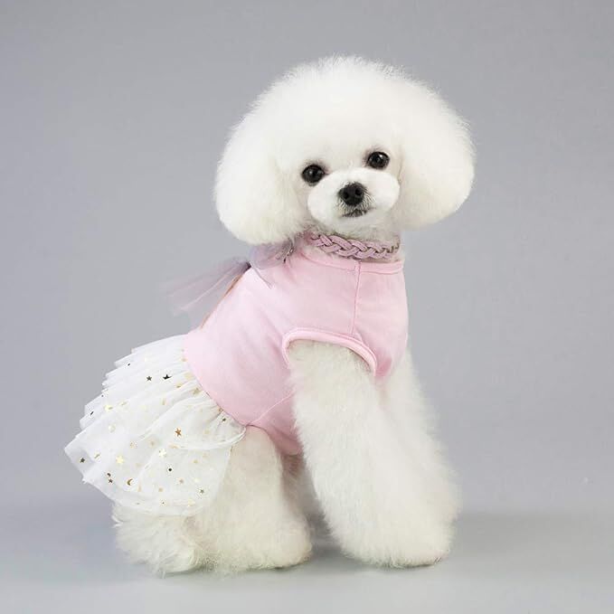Pet products 2-Pack Small Dog Dress Female Tiny Puppy Clothes Girl Tutu for Dogs Dresses Harness Birthday Apparel（Chest circumference37cm, back length25cm, neck circumference26cm）