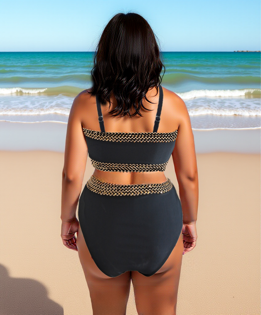 Black Rose Leopard Mesh Trim 2pcs Bikini Swimsuit Set for Women Plus Size Size 2XL