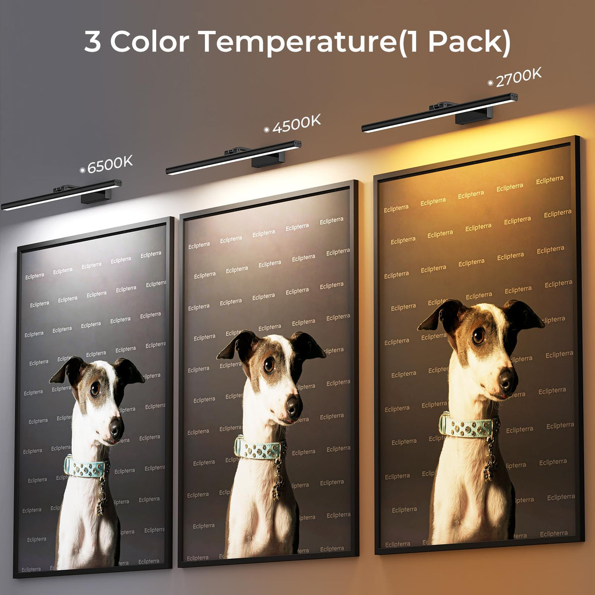 Wireless Picture Lights for Wall, Battery Operated Wall Light for Painting Rechargeable CCT Rotatable Art Gallery Light with Remote Dimmable Timer for Artwork Frame Display Dartboard (Black, 16inch)