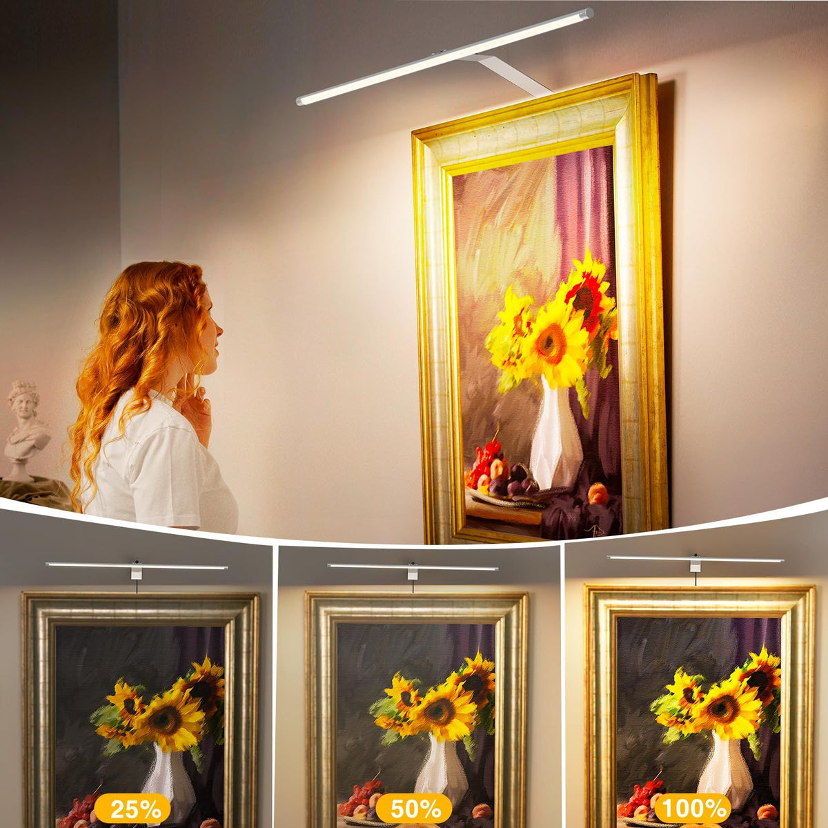 Picture Light for Wall Plug in 24inch, Dimmable LED Art Photo Light with Remote, 3000K Warm White Wall Lights with On/Off Switch Display for Picture, Gallery, Painting, Frame (Silver)