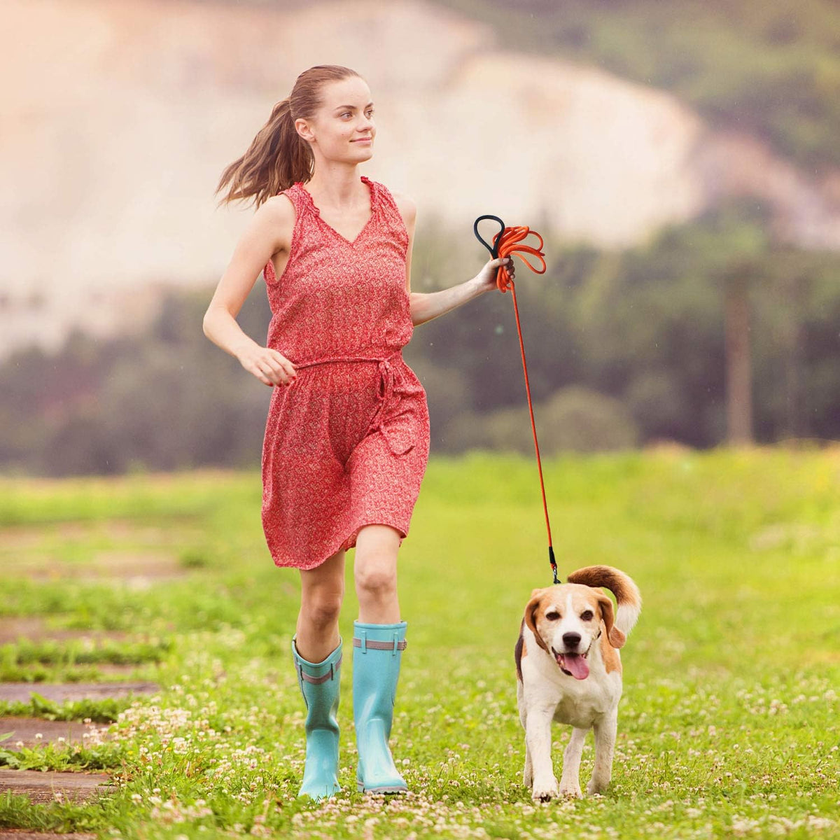 Dog Training Leash with Comfortable Handle