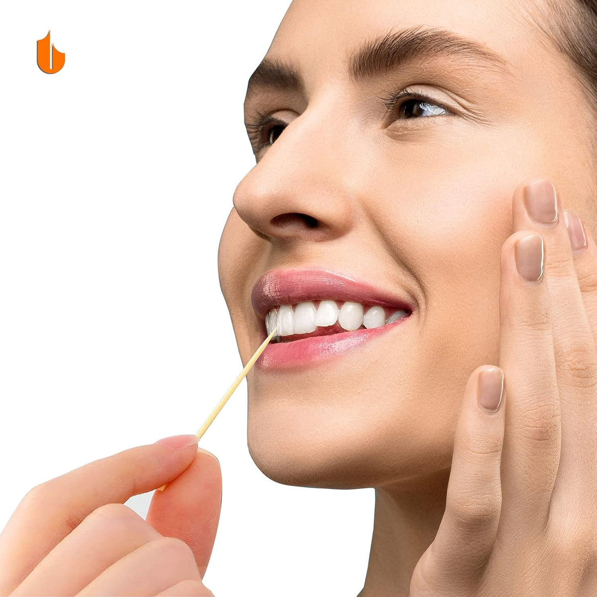 Toothpick Holder Toothpicks 304 Stainless Steel Toothpick Dispenser with 400 Bamboo Toothpicks for Appetizers Craft, Party, Cocktail Picks, Cleaning Teeth (Silver)