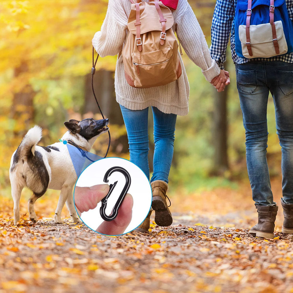 20 pcs Small Carabiners, Multifunctional Aluminum D-ring Clips_max