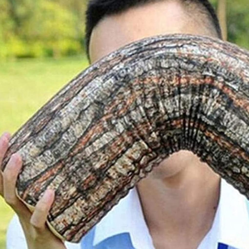 Log Cushion Round Stump Shaped Wood Grain Design Decorative Pillow Cover for Home Decor