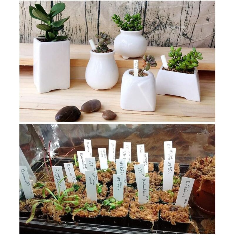 100 pcs Plastic Plant Label, White Plastic Garden Tag 10X2Cm