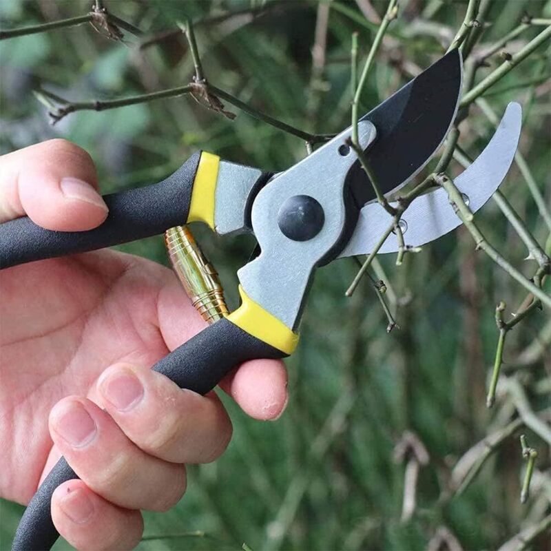 Volute Pruner Springs, Replacement Volute Spring, Stainless Steel Garden Pruner Spring Parts, Replacement Springs