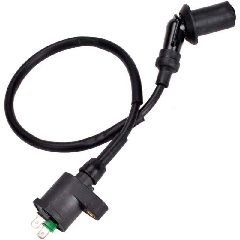 Ignition Coil For Gy6 50Cc 125Cc 150Cc Motorcycle