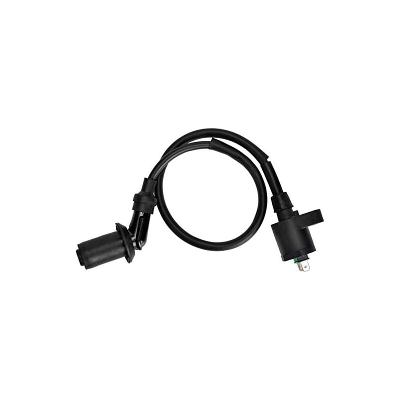 Ignition Coil For Gy6 50Cc 125Cc 150Cc Motorcycle