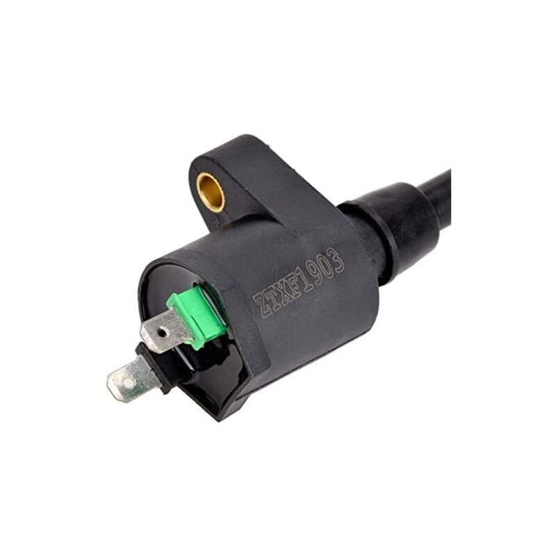 Ignition Coil For Gy6 50Cc 125Cc 150Cc Motorcycle