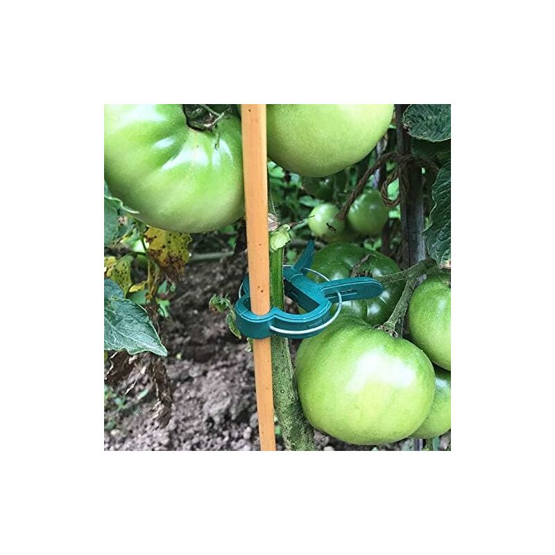 Garden For Tomatoes, 40 pcs Plant Clips Climbing Plants Reusable Climbing Plant Support For Greenhouse Gardening