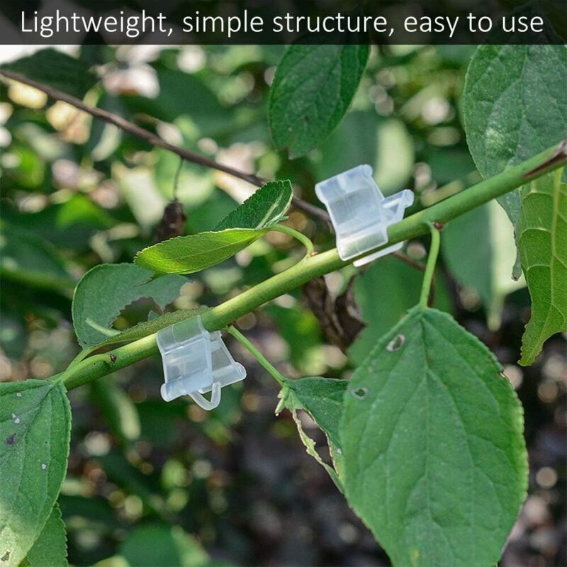 Gardening Grafting Clips 100 pcs Plastic Grafting Support Garden Clip Vegetable Vine Tomato Fruit Trees Mini Gardening