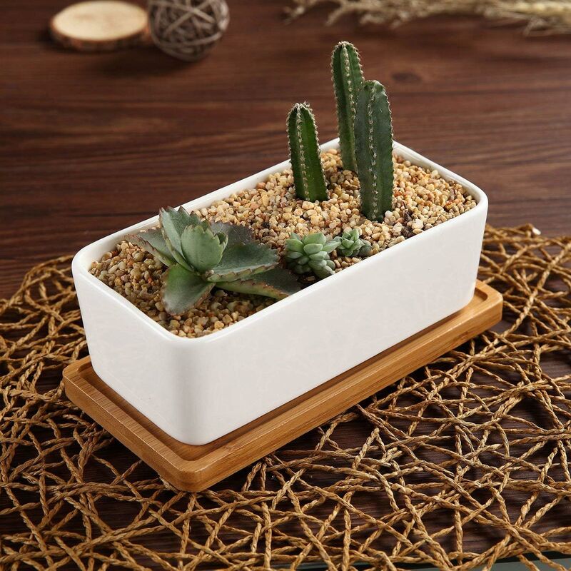 17Cm Ceramic Succulent Pot With Bamboo Tray White 2 pcs Set, Cactus Planter Cache Pot Jardinière Container Gift For