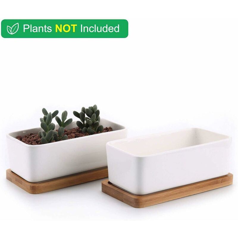 17Cm Ceramic Succulent Pot With Bamboo Tray White 2 pcs Set, Cactus Planter Cache Pot Jardinière Container Gift For