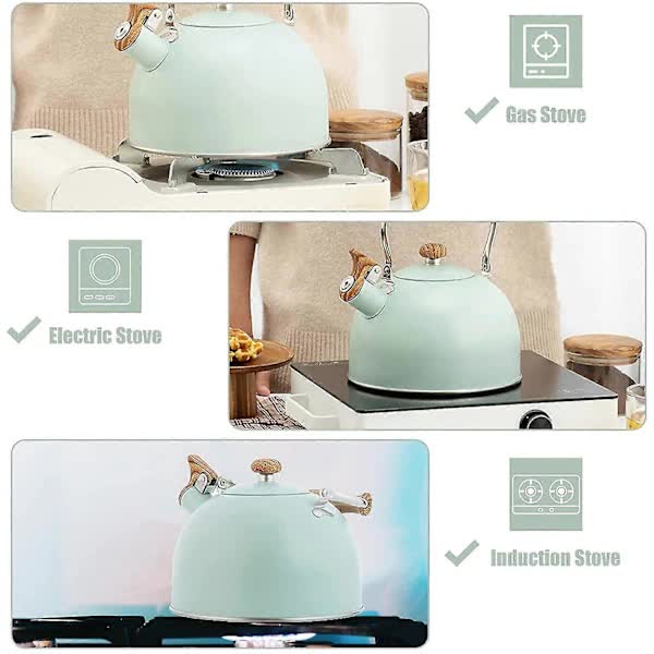 Stainless Steel Whistling Kettle 2.5L for Gas Stoves, Induction Compatible, Ergonomic Handle