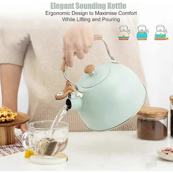 Stainless Steel Whistling Kettle 2.5L for Gas Stoves, Induction Compatible, Ergonomic Handle