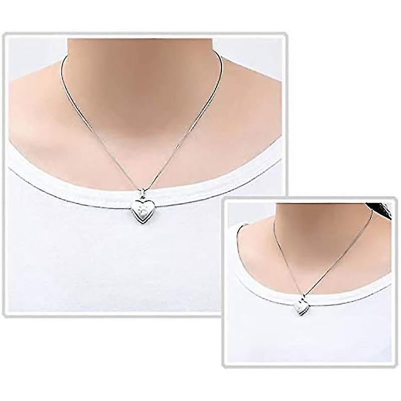 Pet Memorial Jewelry Heart Shaped Cremation Necklace for Ashes