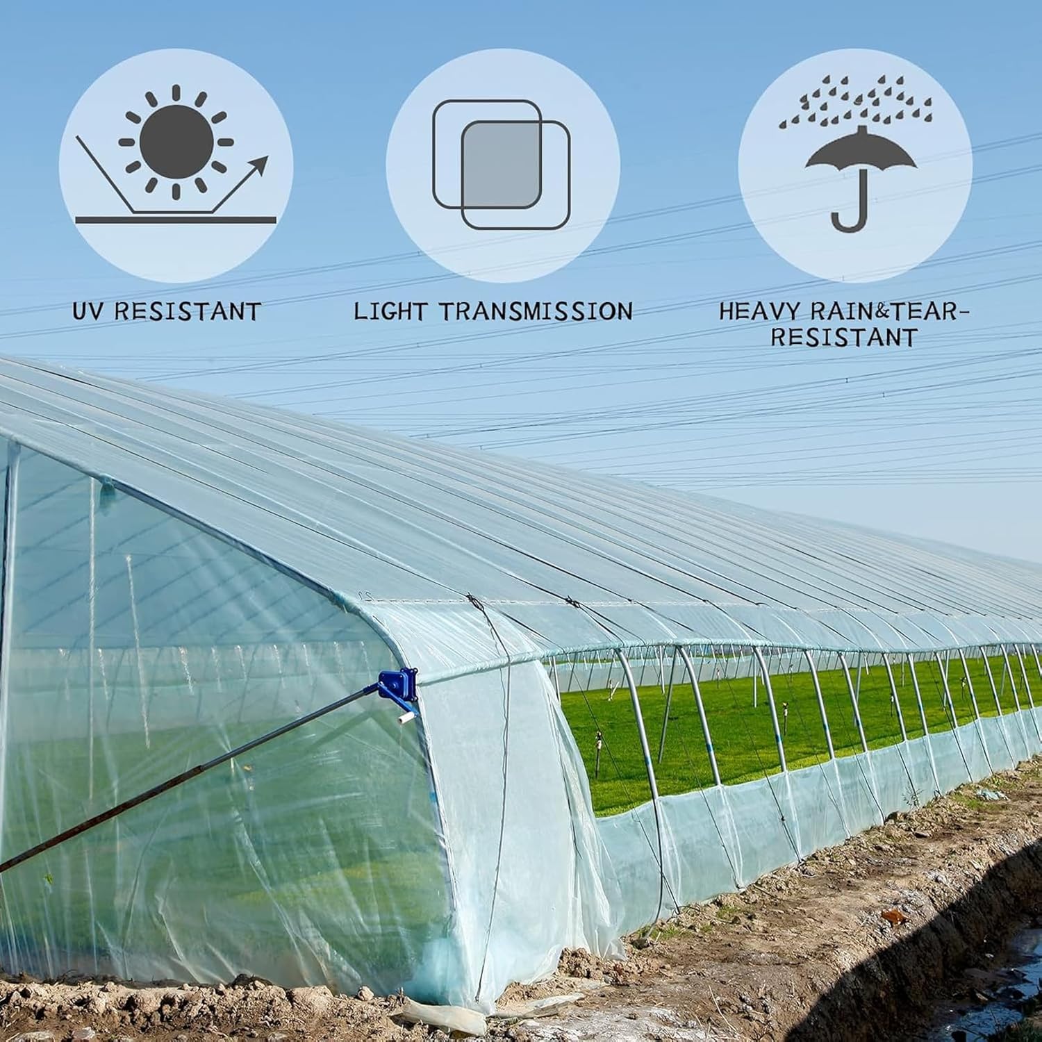 (Special Offer) 2x6m Polyethylene Greenhouse Film, Transparent, Extra Thick Garden Film for Foil Tunnels 10 m