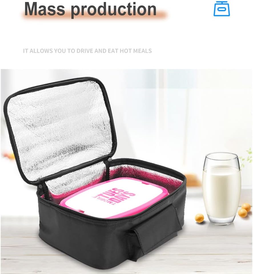 12V cooler bag for car, electric picnic bag lunch bag cooler bag foldable cooler bag for carrying picnic food - 29cmx21cmx11cm