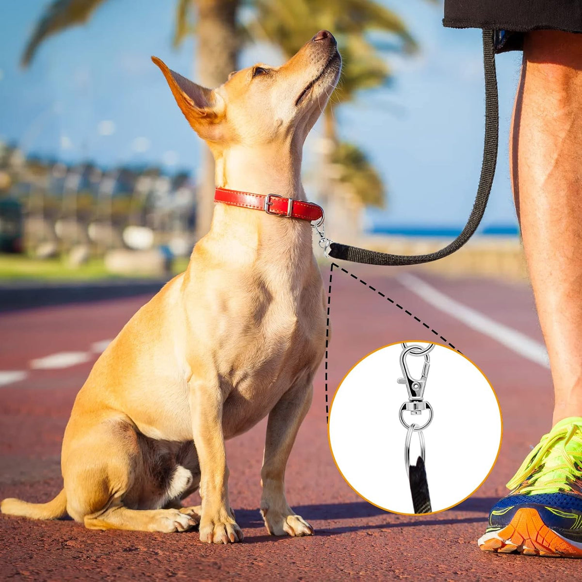 Small Stainless Steel Keychains, 100pcs Carabiner Keychains, DIY, DIY Ring, Button Lock, (Silver)