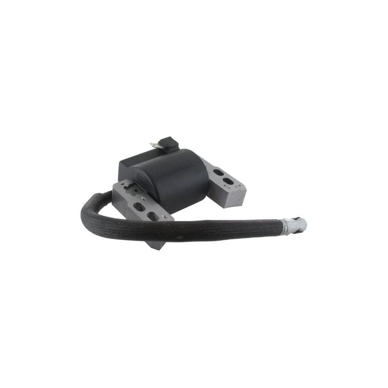 Briggs \u0026 Stratton 796964 Ignition Coil Replacement for Small Engines