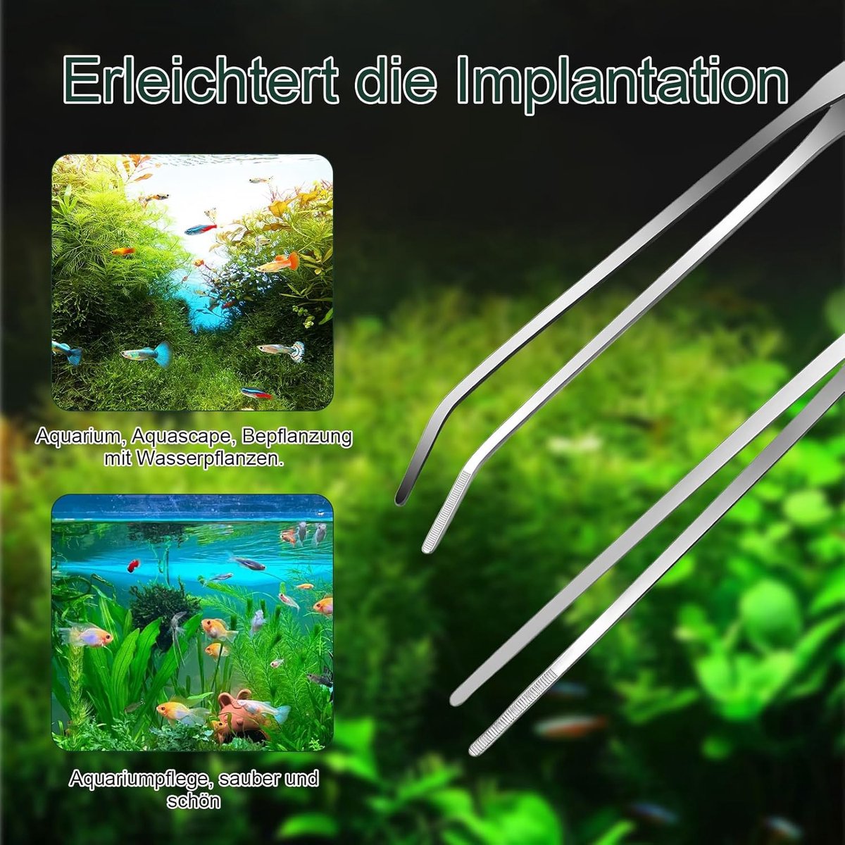 2-pack curved aquarium tweezers - Straight and curved tweezers - 27 cm long stainless steel tweezers - Suitable for lizards, spiders, fish and aquariums