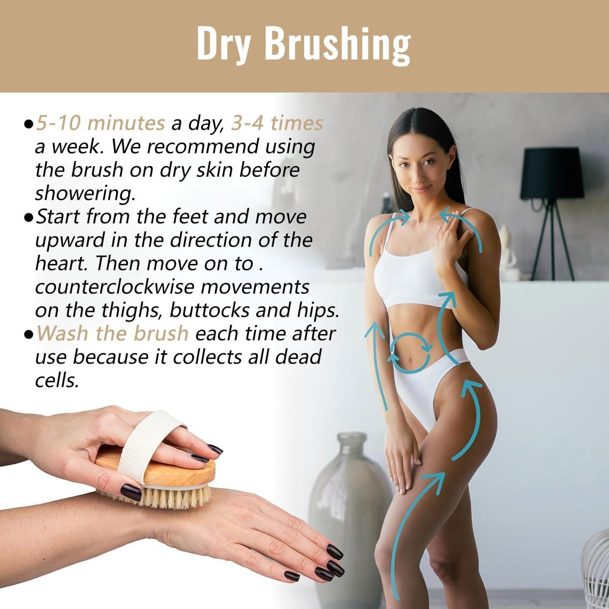Bath Brush - Body Brush - Natural Bristles - Massage Brush - Shower Brush - Exfoliating Brush - Sauna Brush - Improves Blood Circulation - Lymphatic Function - Removes Dead Skin Cells