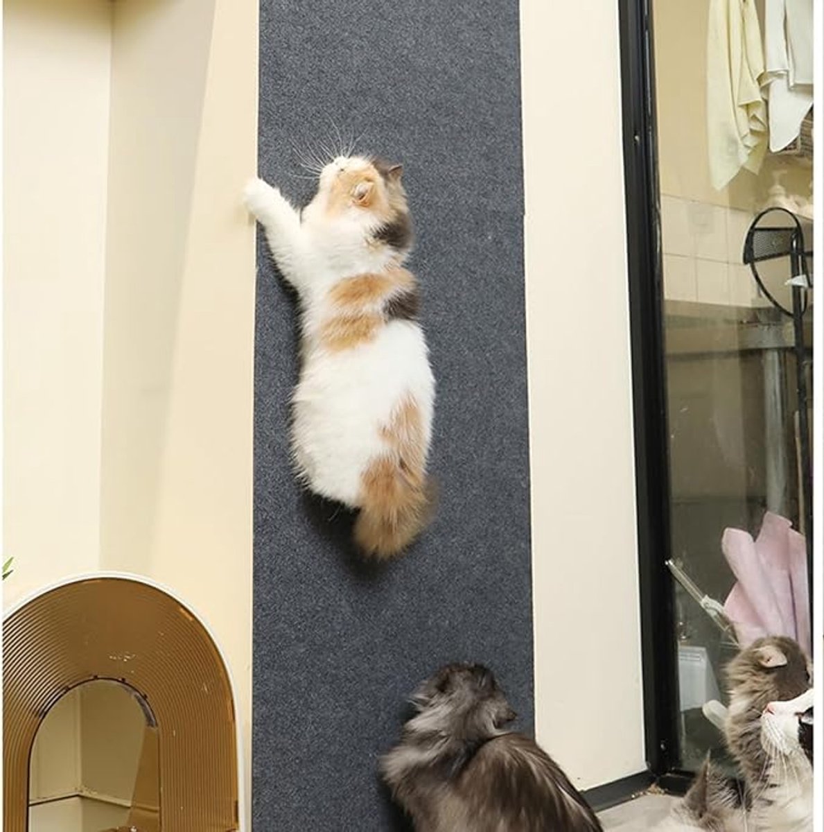 Premium Cat Scratching Mat - Couch Cushions - Strong adhesion, for ultimate fun for your cat - Protects your furniture, lets your cat have fun (Dimensions: 30x30 cm, Off-white, Pack of 2)