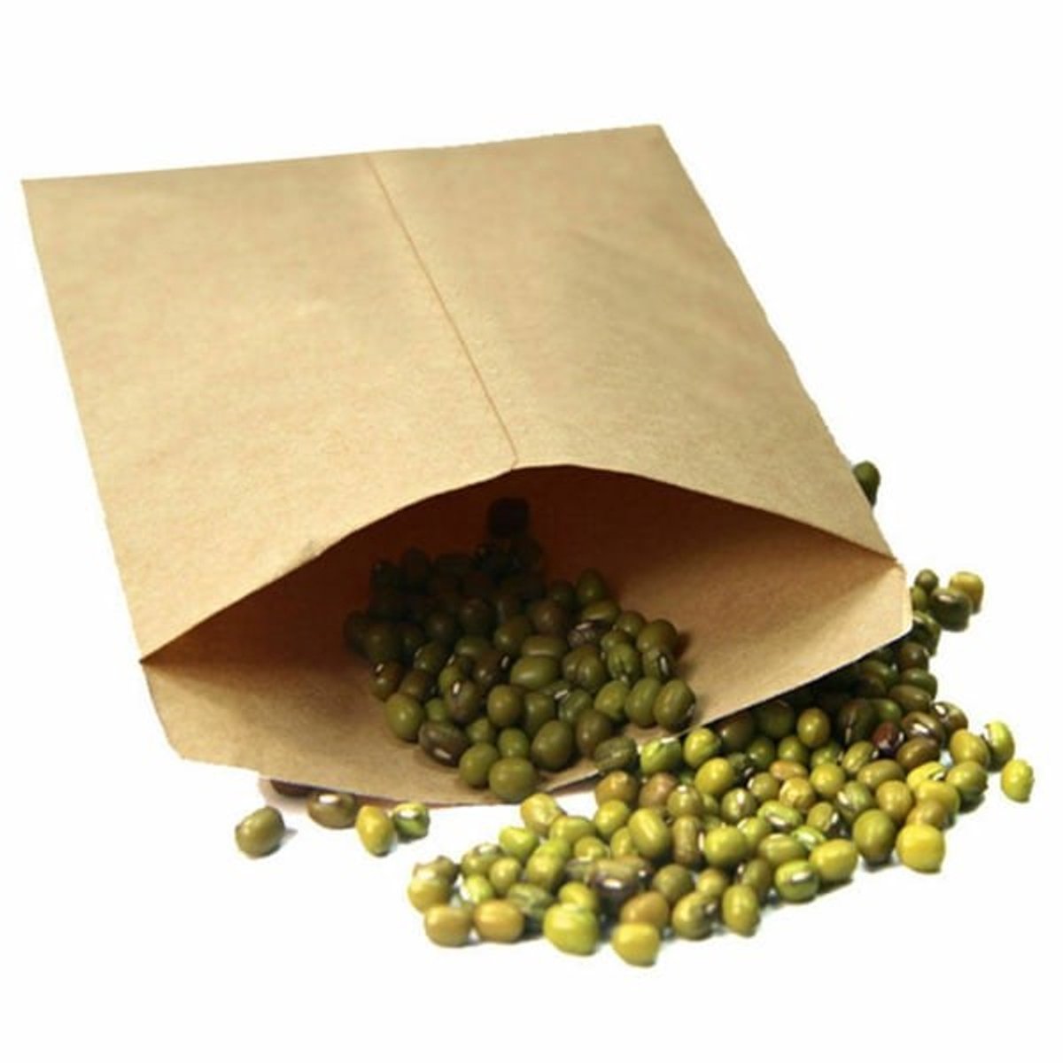 Seed Bags - 100 vintage kraft paper seed bags