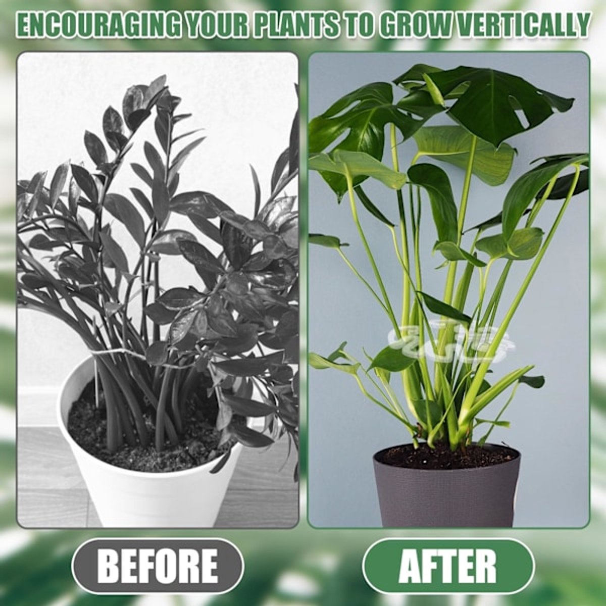 Plant Stands - Acrylic Plant Stands for Indoor and Outdoor Use - 20 Pieces