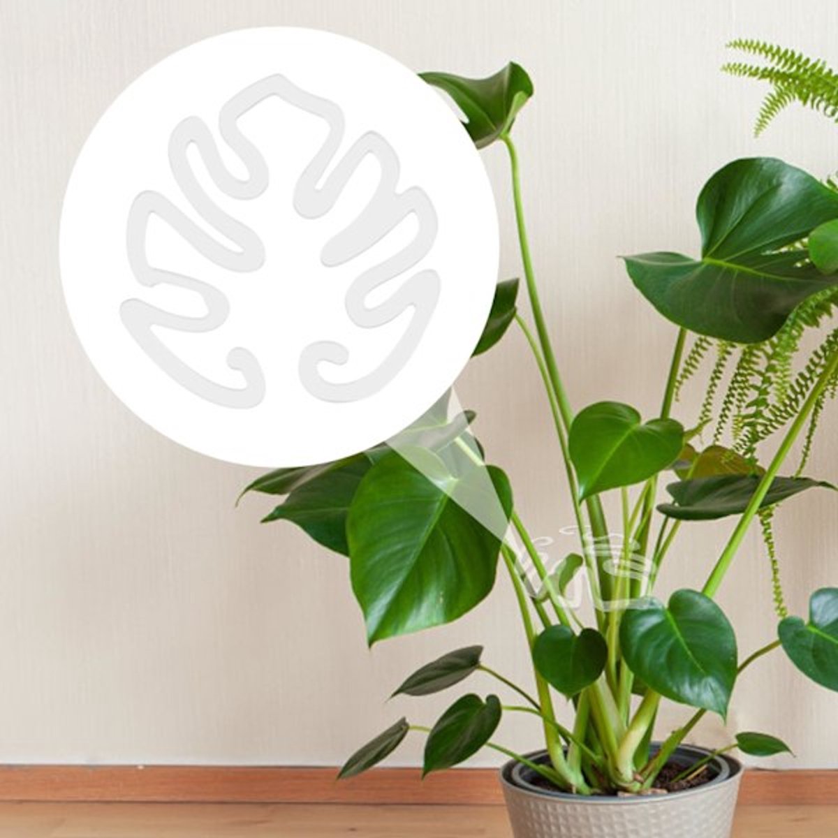 Plant Stands - Acrylic Plant Stands for Indoor and Outdoor Use - 20 Pieces