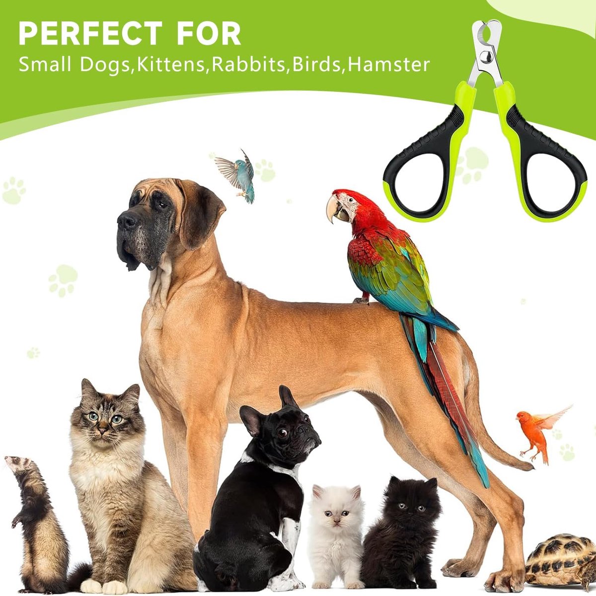 Pet Nail Clippers - Professional Pet Nail Clippers - Scissors - Stainless Steel - Cat Nail Clippers - Suitable for Small Dogs, Puppies, and Cats