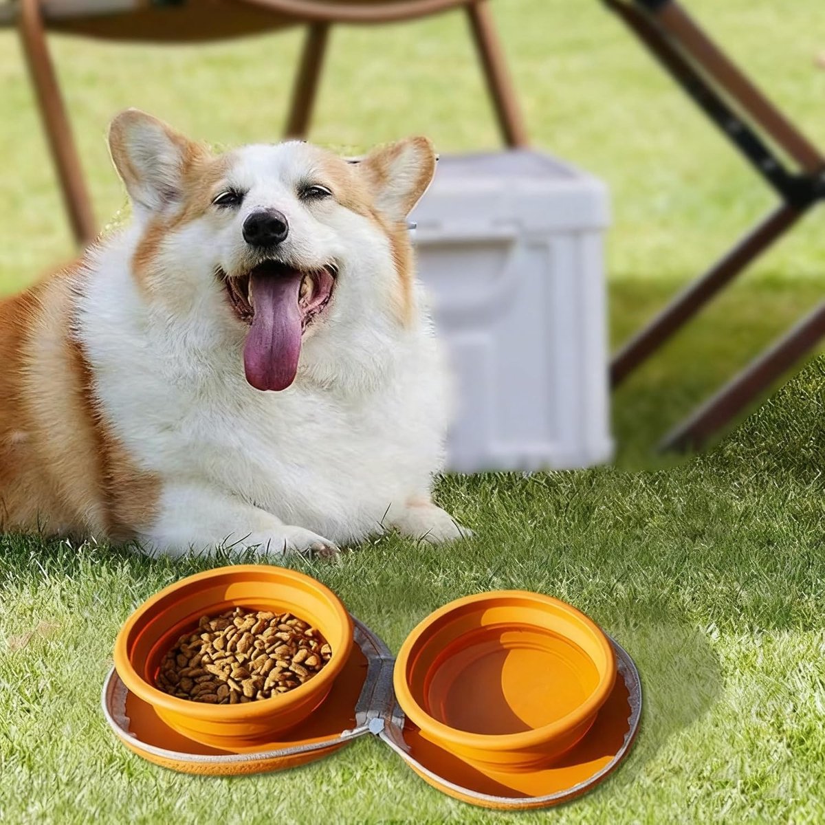 Dog Food Bowl - Foldable Dog Food Bowl - Outdoor Pet Food Bowl - 2-in-1 Dog Food Bowl - with Zippered Storage Bag and Carabiner - Suitable for Travel, Hiking, Camping and Other Activities (Pink)