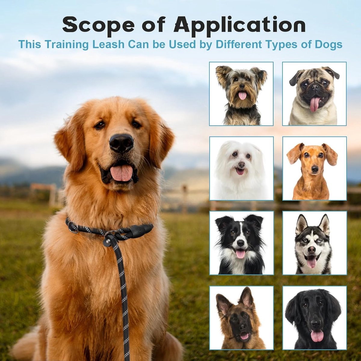 1.8m Long Dog Training Leash - Durable, tension-free polyester dog leash with two padded handles and reflective thread - For small and medium-sized dogs - Black