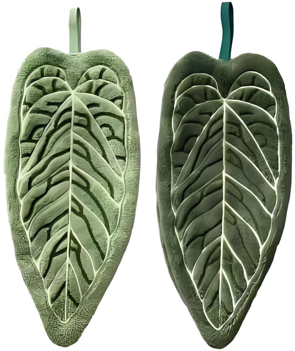 Towels - Towel Set - Soft, absorbent coral fleece kitchen and bathroom towels with hanging loops for easy dishwashing and hand washing - 2-pack (dark green, light green)