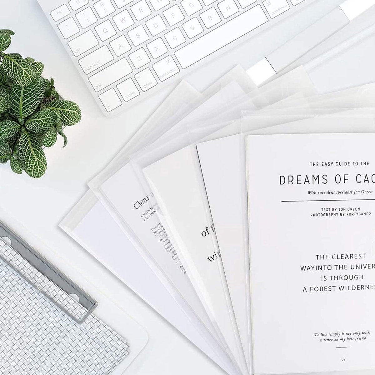 12 folders - plastic folders - transparent A4 format - waterproof - polyethylene - snap closure - ideal for office and school supplies