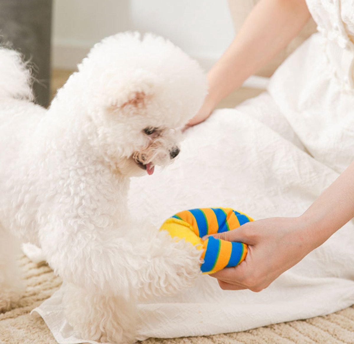 Dog Toys - Dog Cuddly Toy - Slipper Shape - Interactive - Dog Toy - Yellow and Blue Stripes